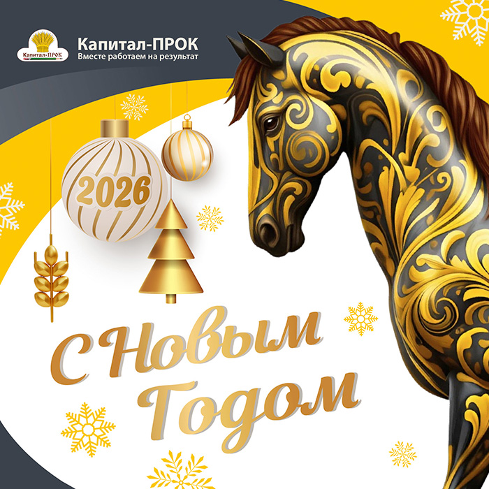 С Новым годом! С Новым годом!