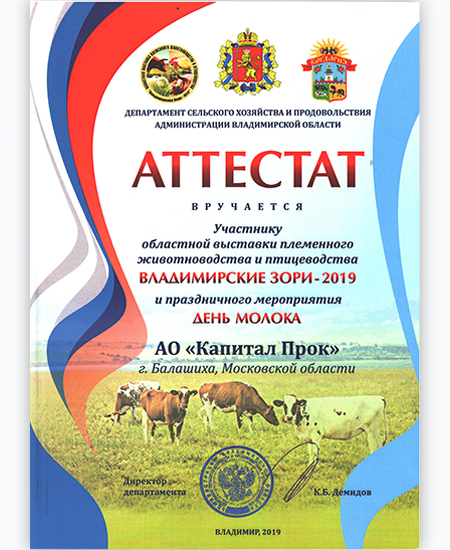 Владимирские Зори- 2019, г. Владимир