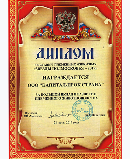 Звезды Подмосковья Диплом, 2019 г. 