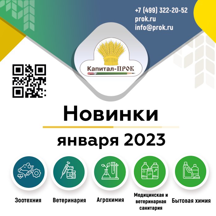 Новинки и ТОП 20 январь 2023