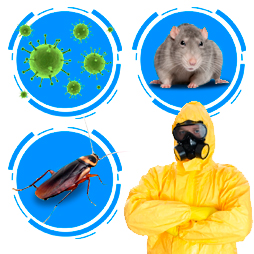 Санитария и профдез Санитария и профдез