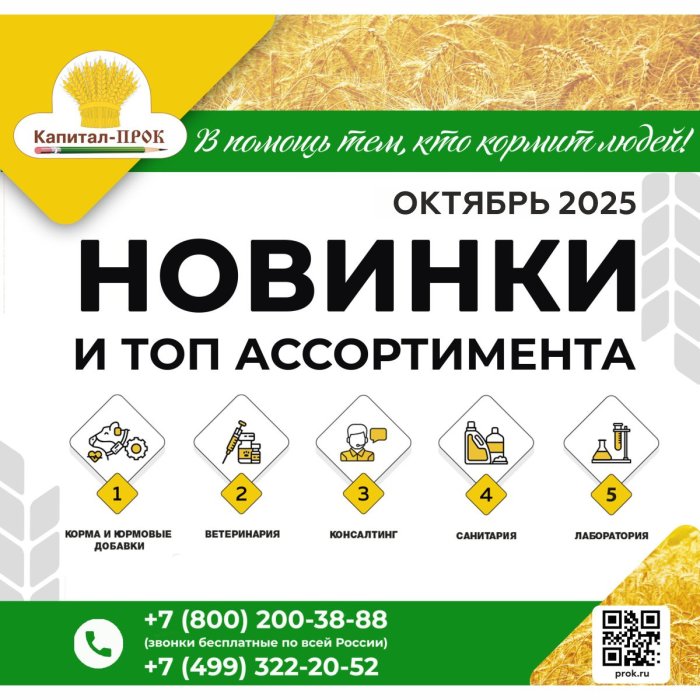 Новинки и ТОПовый ассортимент продукции октябрь
