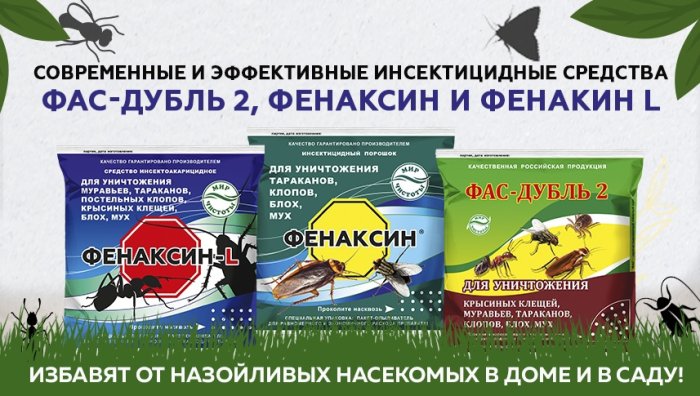 Кокцидиоз у Бройлеров - Симптомы, Профилактика, Лечение в Домашних Условиях