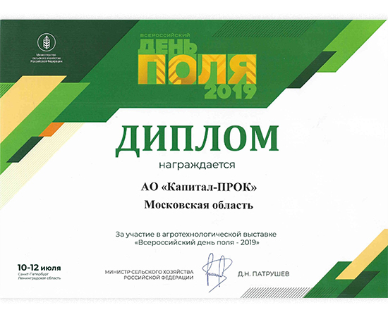 Всероссийский День поля 2019, Санкт-Петербург