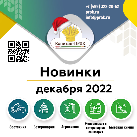 Новинки и ТОП 20 декабря 2022 Новинки и ТОП 20 декабря 2022
