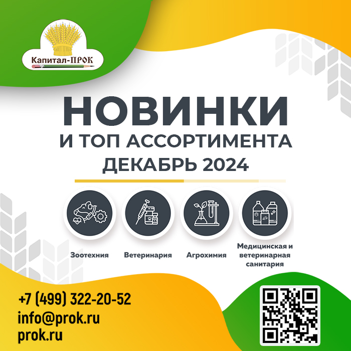 Новинки декабря 2024