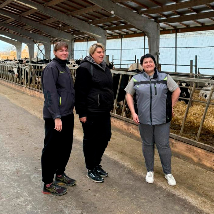 Эксперты Капитал-ПРОК в Краснодарском крае