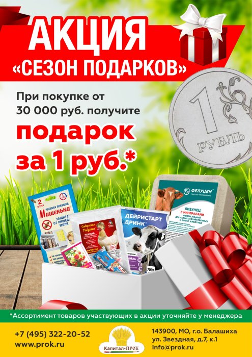 Акция «Сезон Подарков»