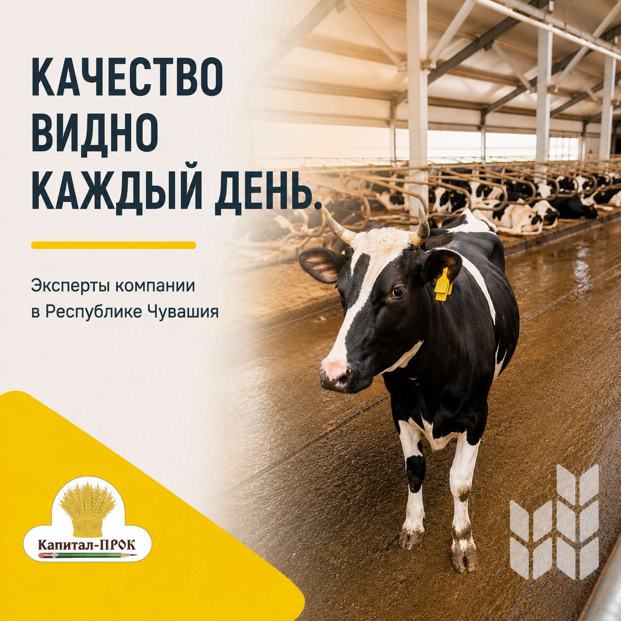 Капитал-ПРОК в Чувашии Капитал-ПРОК в Чувашии