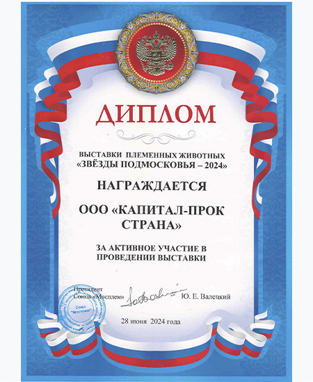 Диплом и кубок "Звезды Подмосковья - 2024" Диплом и кубок "Звезды Подмосковья - 2024"