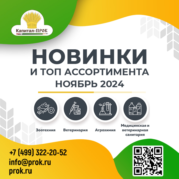 Новинки ноября 2024