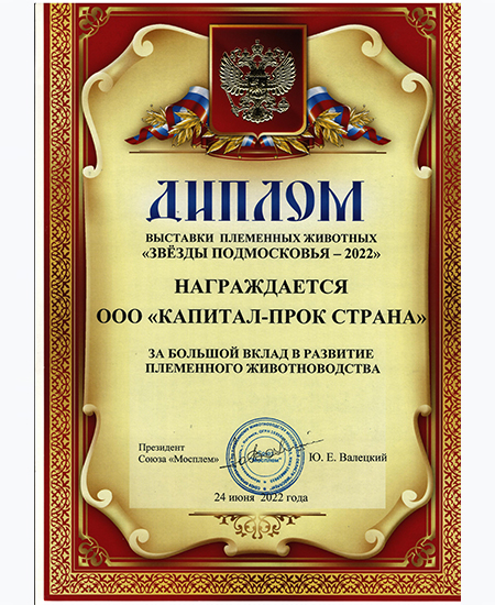 Диплом и кубок "Звезды Подмосковья - 2022" Диплом и кубок "Звезды Подмосковья - 2022"