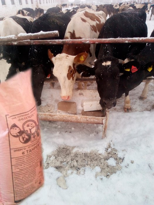 Специалисты АО "Капитал-ПРОК" посетили лучшие хозяйства в Тульской и Владимирской областях