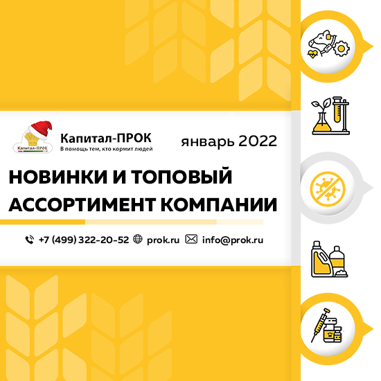 Новинки и Топовый ассортимент компании в январе 2022