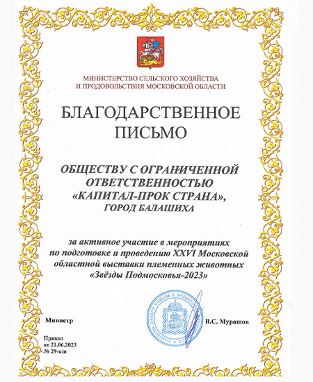 Звезды Подмосковья Благодарность, 2023г.