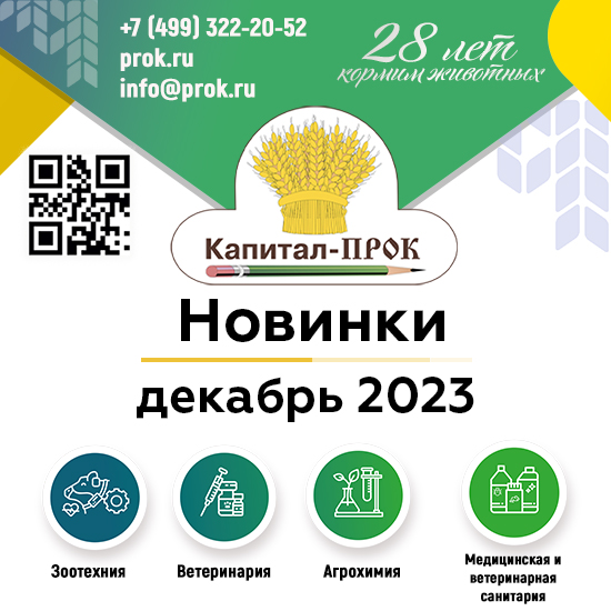 Новинки декабря 2023