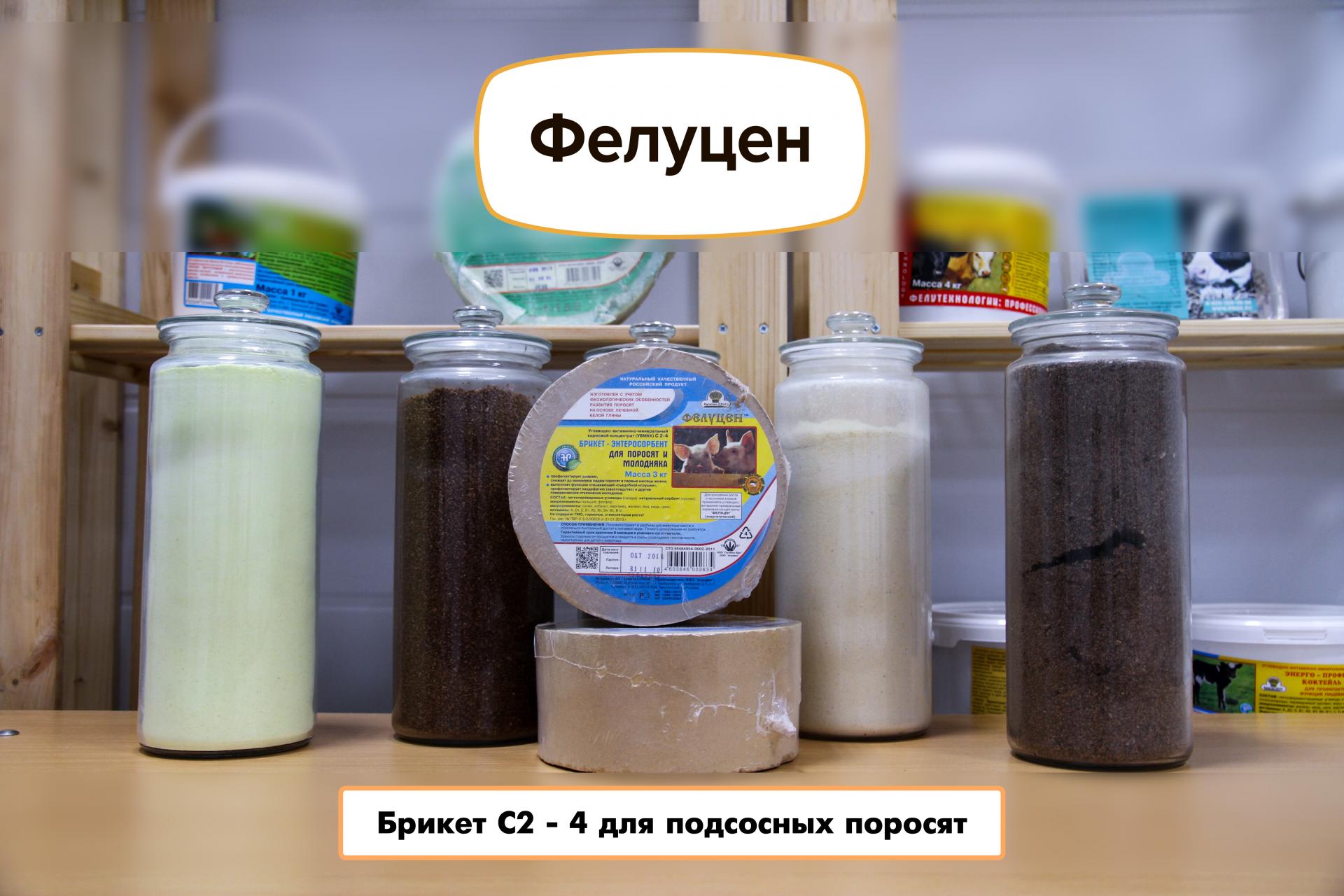Фелуцен Брикет С2-4 (энтеросорбент)  для поросят и молодняка