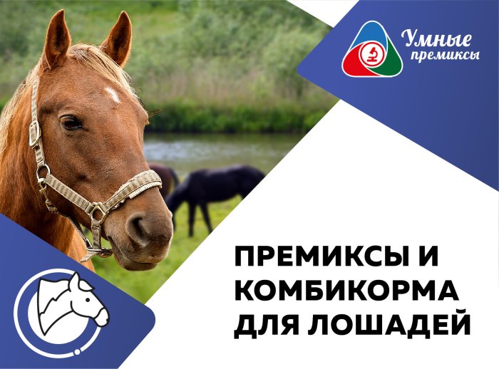 Премиксы для лошадей