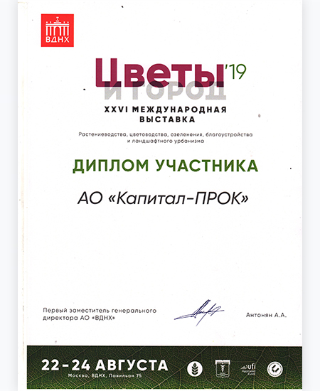 Цветы и Город 2019, г. Москва