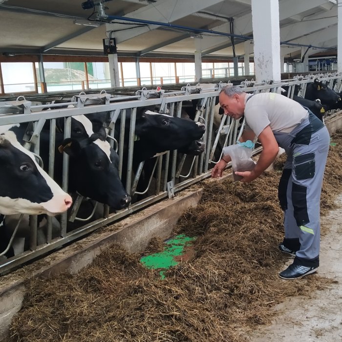 Специалисты компании «Капитал-ПРОК» в Ярославской, Костромской и Вологодской области 