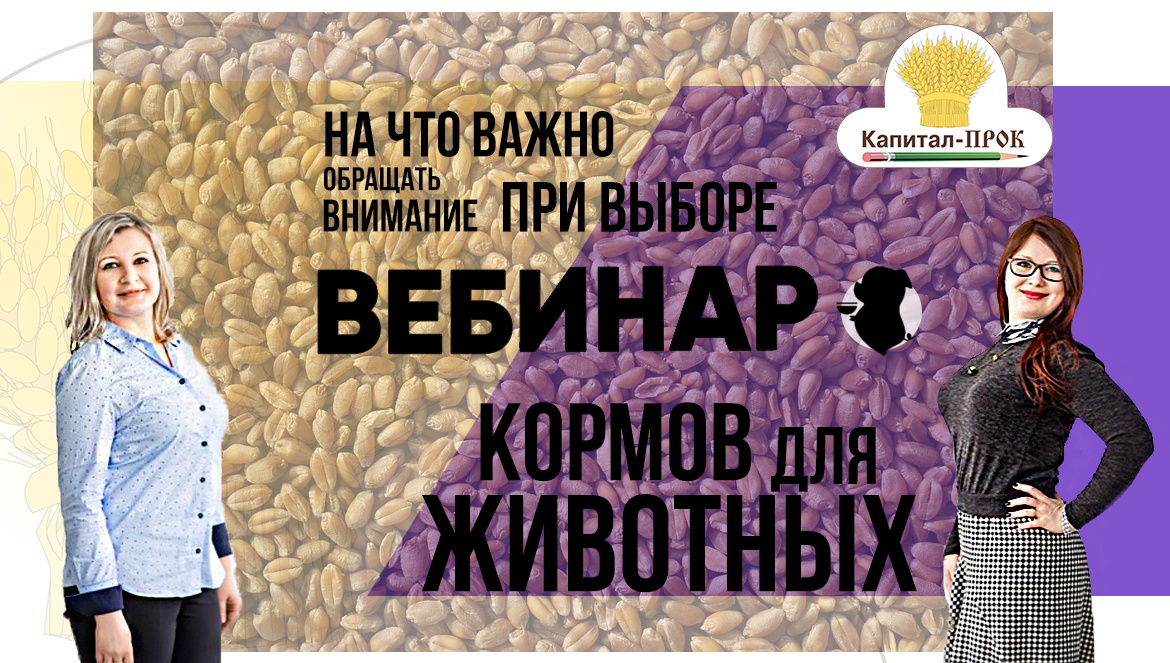 Выбор корма для домашнего скота