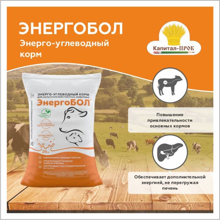 Мастер-ключ к продуктивности