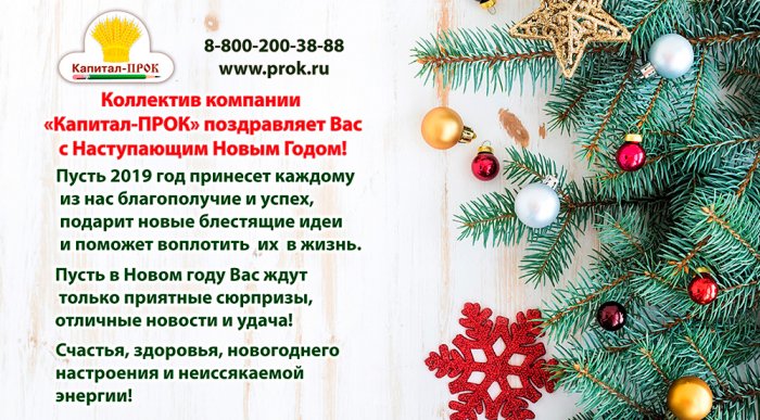 С Наступающим Новым 2019 годом!