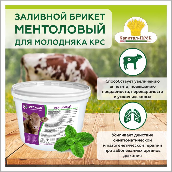 Свободное дыхание — свободная жизнь! Свободное дыхание — свободная жизнь!