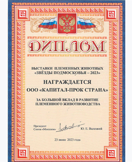 Диплом и кубок "Звезды Подмосковья - 2023"