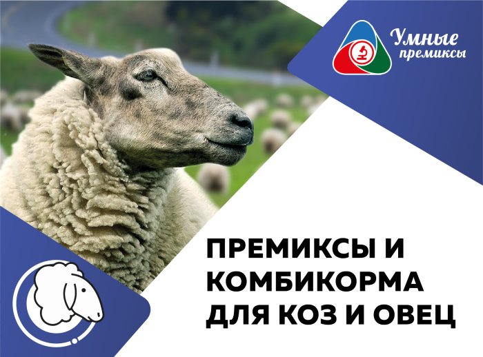 Премиксы для коз и овец