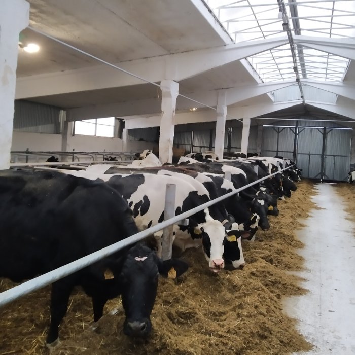 Эксперты компании во Владимирской области!