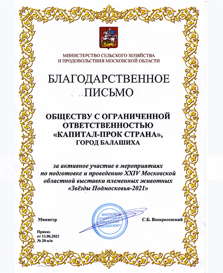 Звезды Подмосковья Благодарность, 2021 г.