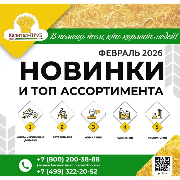 Новинки и ТОПовый ассортимент продукции февраль