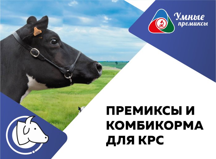 Премиксы для коров, быков