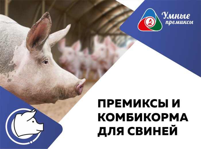 Премиксы для свиней