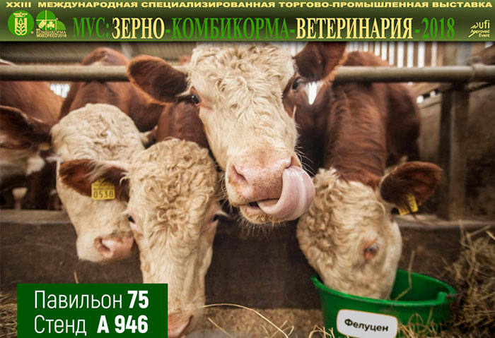 Приглашаем вас на выставку Зерно-Комбикорма-Ветеринария 2018