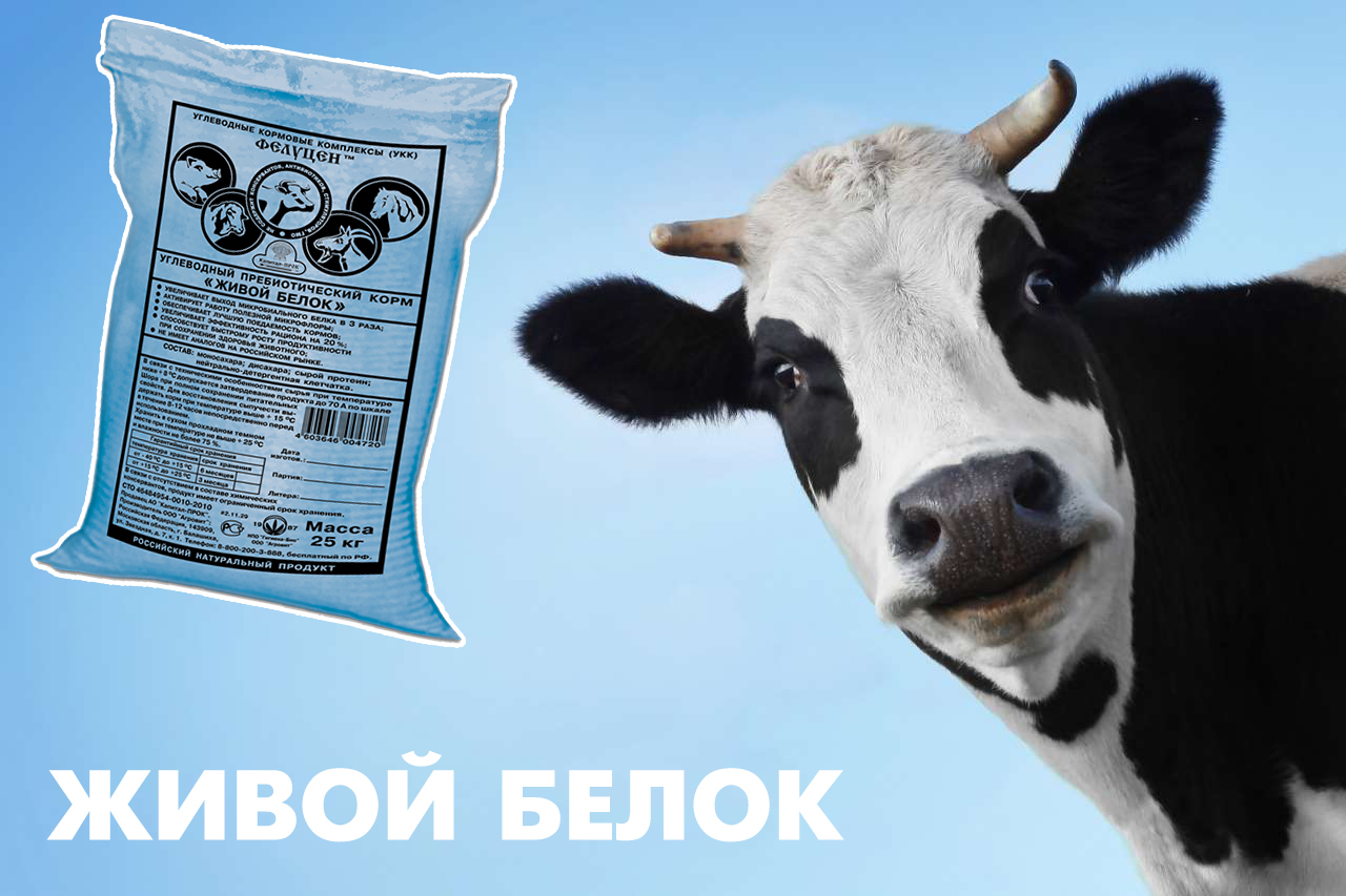 Углеводный пребиотический корм Живой белок