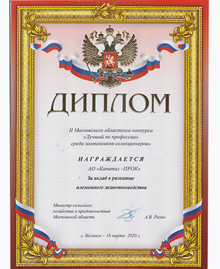 Диплом II Московского областного конкурса "Лучший по профессии", г. Ногинск 2020