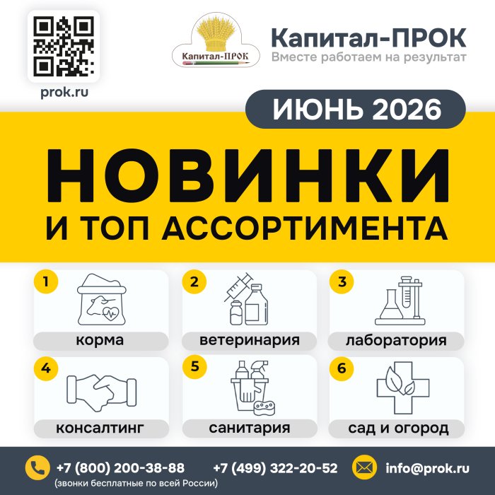 Новинки и ТОПовый ассортимент продукции ИЮНЬ