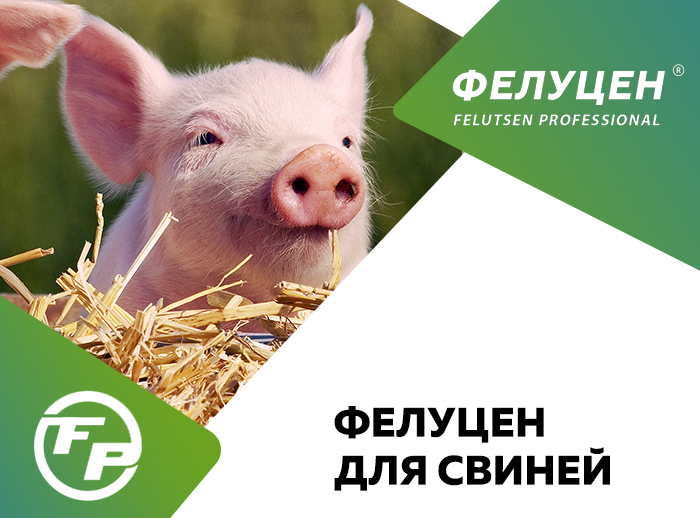 ФЕЛУЦЕН ДЛЯ СВИНЕЙ