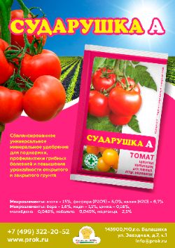 Сударушка А томат