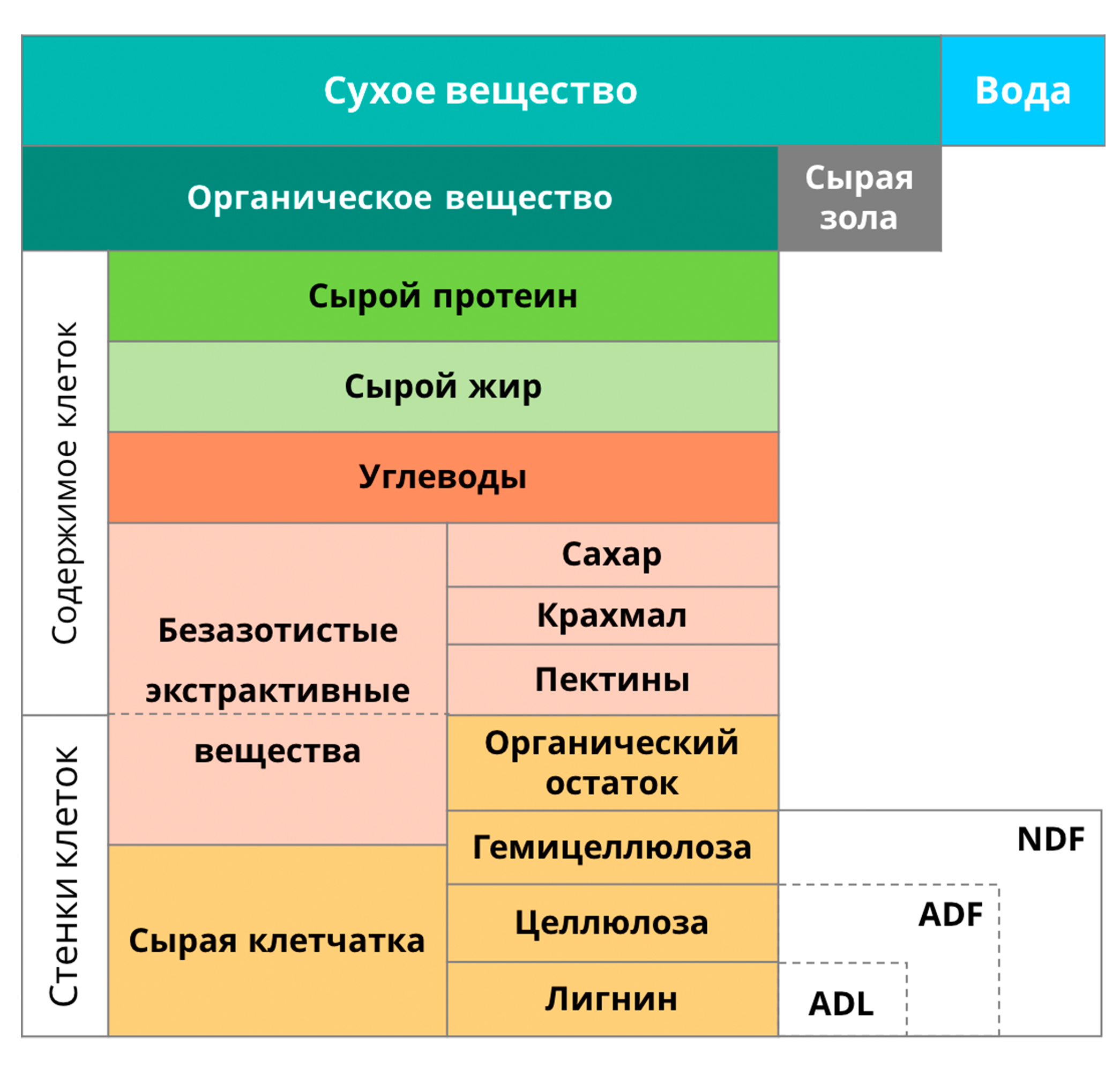 Схема химического анализа кормов