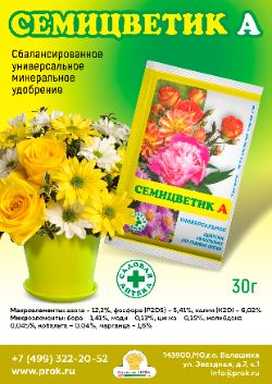 Семицветик А универсальное