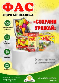 Серные шашки