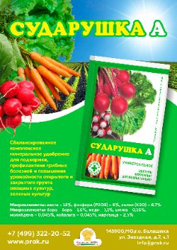 Сударушка А универсальная