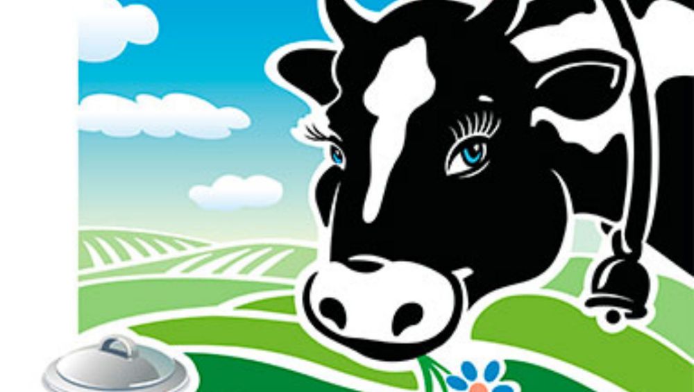 кормление коров