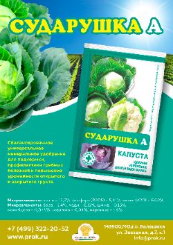 Сударушка А капуста