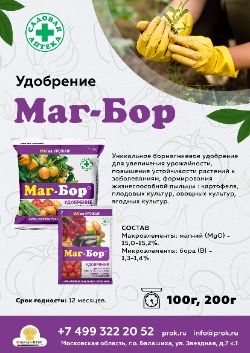 Маг бор