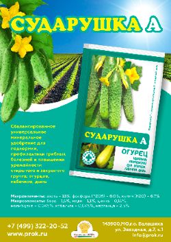 Сударушка А огурец