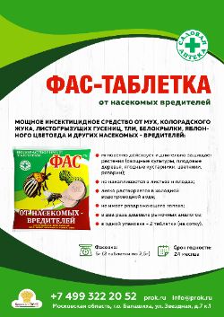 ФАС-таблетка